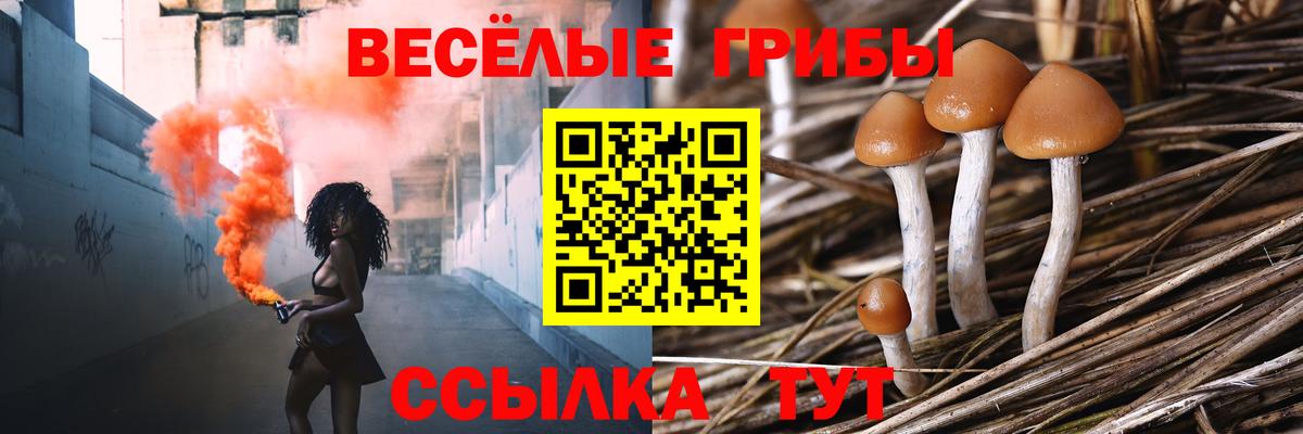 Псилоцибиновые грибы Psilocybine cubensis Изобильный